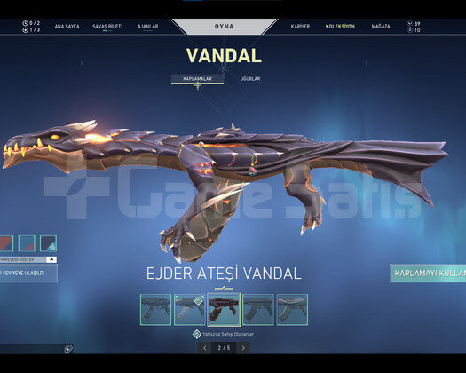 ASİL-EJDER-YAĞMACI VANDAL,BP SKİNLERİ