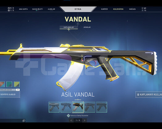 ASİL-EJDER-YAĞMACI VANDAL,BP SKİNLERİ