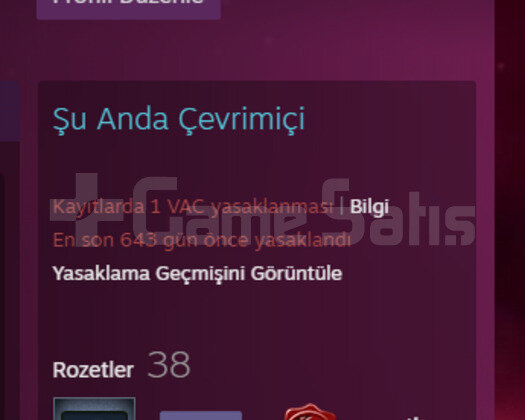 ZARARA SATILIK İNANILMAZ 40LVL  HESAP