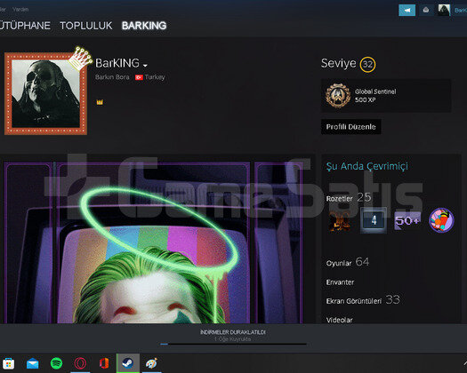 SAĞLAM STEAM HESABI