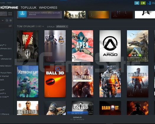 Steam hesabi