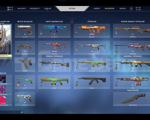 3 BATTLEPASSLI TR SUNUCULU UCUZ HESAP