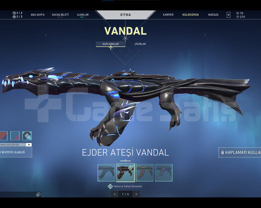 EJDER VANDAL,ONI PHANTOM,TR SUNUCU