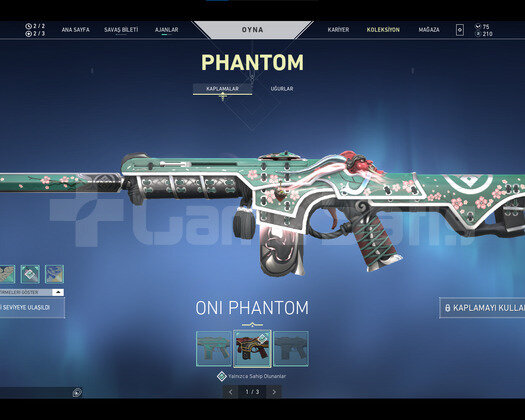 EJDER VANDAL,ONI PHANTOM,TR SUNUCU
