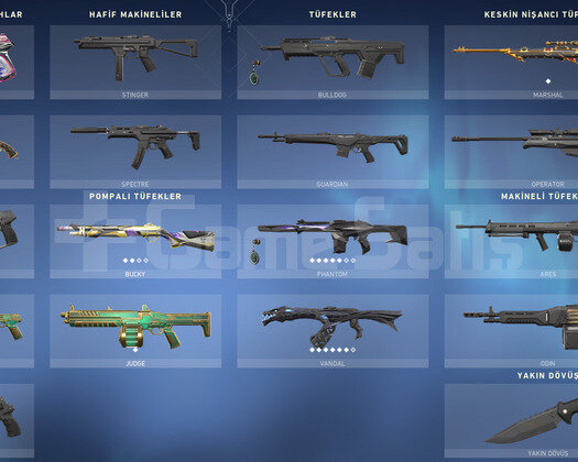 TR SERVER/EJDER VANDAL/ANOMALİ PHANTOM