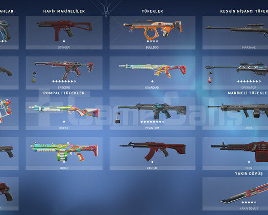 TR SERVER/RGX SETT + BATTLE PASSLI UCUZ HESAP