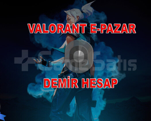 UCUZ DEMİR 1 HESAP