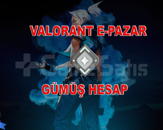 SEMAVİ YELPAZE PAZARLI GÜMÜŞ 2