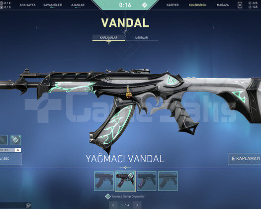 Karambit ve Yağmacı Vandallı Efsane Hesap