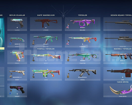 Karambit ve Yağmacı Vandallı Efsane Hesap