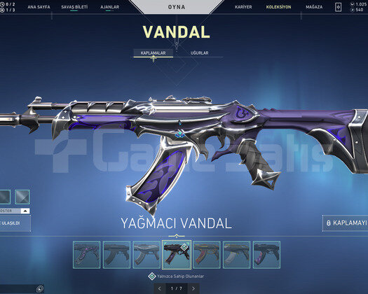 İON/YAĞMACI OP YAĞMACI ASİL VANDAL+70 SKİN