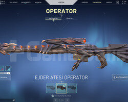 Ejder Operator ve Asil Vandallı Efsane Hesap