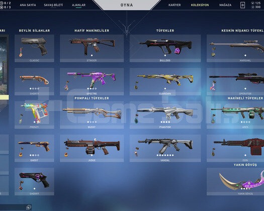 Karambit ve Yağmacı Vandallı Efsane Hesap