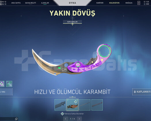Karambit ve Yağmacı Vandallı Efsane Hesap