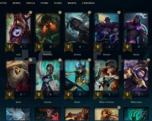 PLAT 2 EUW HESAP