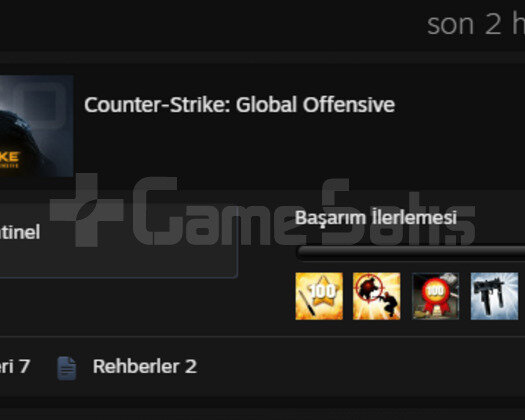 Steam 60 LEVEL 500 WİNLİ SUPREME Hesap!