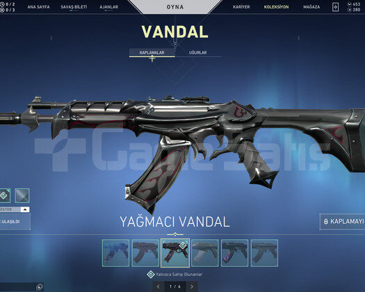 Asil Karambit/Kelebek/Yağmacı Asil Vandal/Asil Ph