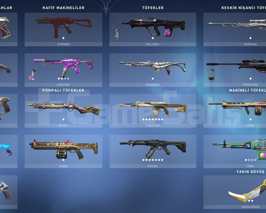 Asil Karambit/Kelebek/Yağmacı Asil Vandal/Asil Ph