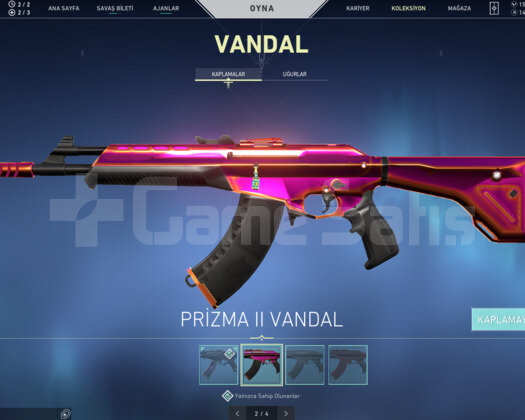 BOL BIÇAK YAĞMACI VANDAL!!