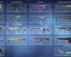 PLAT1/Yitik Ve Gaia Vandal/İon Phantom/Karambit