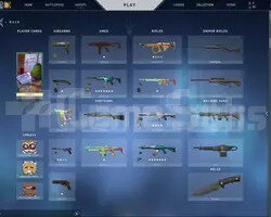 VALORANT + LOL BU FİYATA NADİR