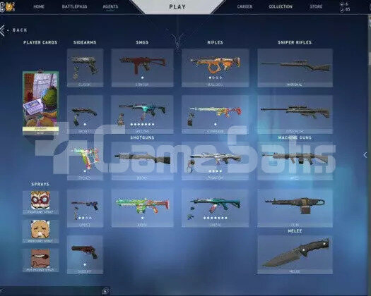 VALORANT + LOL BU FİYATA NADİR