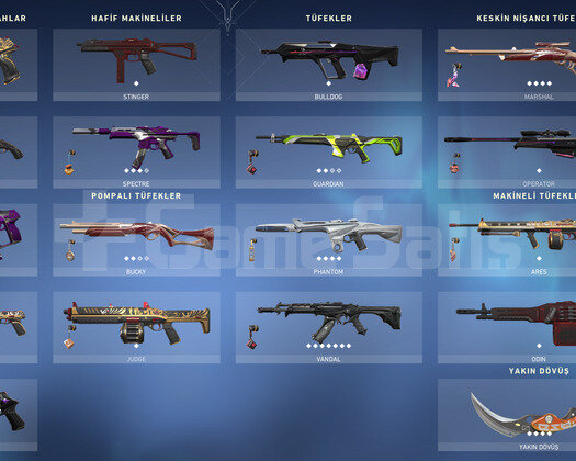 Karambit/Yağmacı Yitik Vandal/İon Phantom