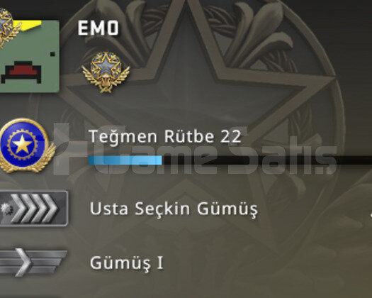 300 TL Envanter+1 Madalya Prime+TR Hesabı