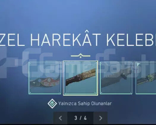 RGX-YAĞMACI-DELİPOP VANDAL, RGX KELEBEK,PLATİN