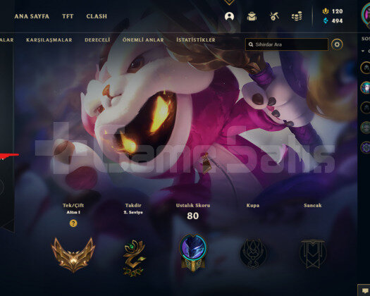 GOLD 1 25 LP GELİR 10 GİDER