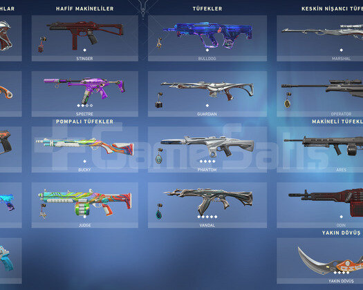 Yitik Yağmacı Vandal/İon Phantom/Karambit