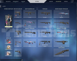 RGX VANDALLI 17 LEVEL TEMİZ UNRANKED HESAP