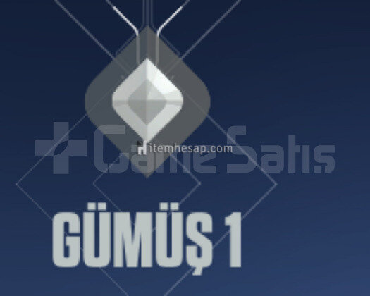 FRESH SMURFLUK GÜMÜŞ HESAP