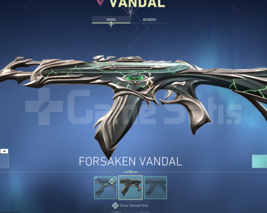CHAMPION VANDAL + FORSAKEN VANDAL BUTCE DOSTU