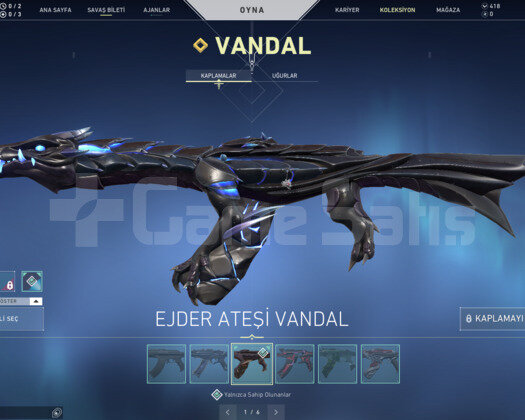 Rgx Set/Ejder vandal ve Çeşitli Skinler