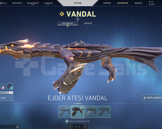 Rgx Kelebek/Ejder Asil Vandal/İon Pha/Ejder Op