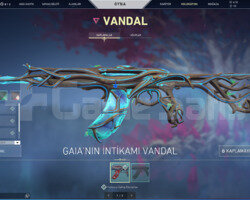 GAİA VANDALLI GOLD 3 TEMİZ HESAP