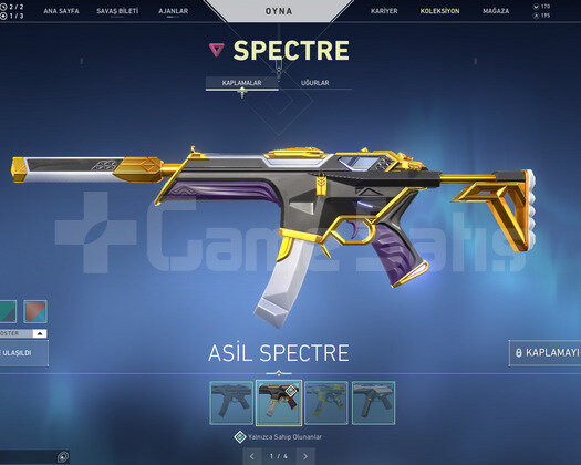Asil Vandal ve Asil Spectre Efsane Hesap