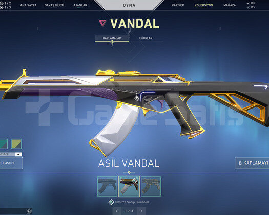 Asil Vandal ve Asil Spectre Efsane Hesap