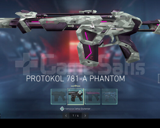 PROTOKOL PHANTOM,YİTİK VANDAL,EJDER YAĞMACI OP