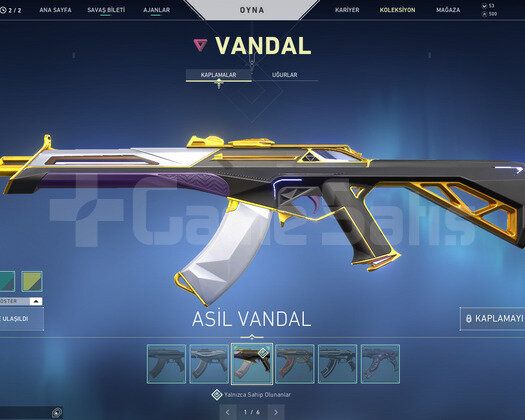 Yağmacı Operator ve Asil Vandal Bol Skin Hesap