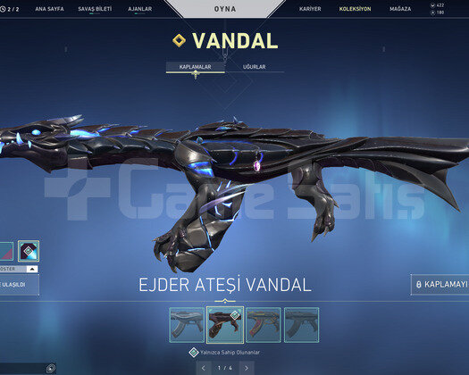 Ejder Operator ve Ejder Vandallı Bol Skin Hesap