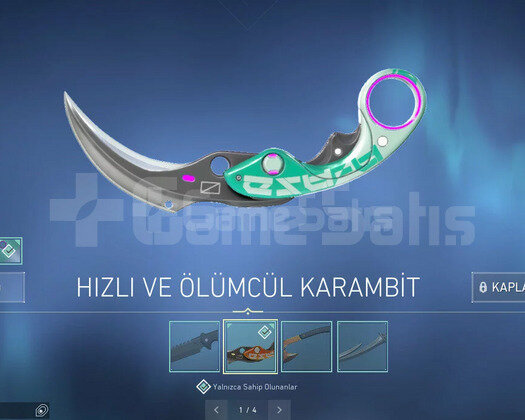 MAİNLEMELİK DOLU GÜZEL HESAP
