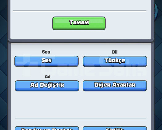BÜTCE DOSTU 4024 KUPA İSİM DEĞİŞTİRMELİ HESAP