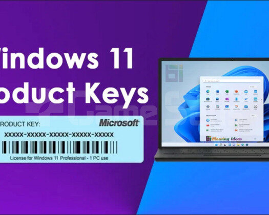 Windows 11 ORJİNAL LİSANS