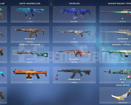Karambit Yağmacı Bıç/Rgx Asil Vandal/Delipop Phan