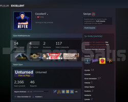 25 LVL STEAM HESABI /  ETS2 /  M&B WARBAND /