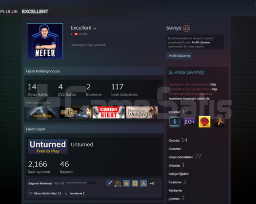 25 LVL STEAM HESABI / ETS2 / M&B WARBAND /