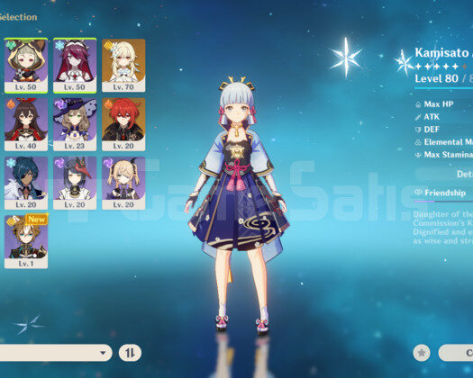 Rank 45 ayaka mislpitter