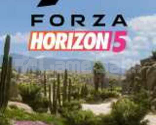 FORZA HORİZON 5 PREMİUM EDİTİON / GARANTİ & DESTEK